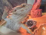 20180602_121116.webp