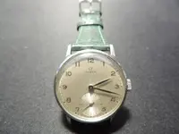 DSCN4705.webp