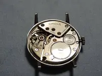 DSCN4711.webp
