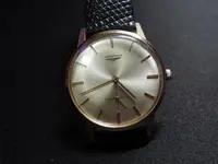 DSCN4736.webp