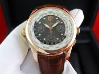 DSC02831.webp