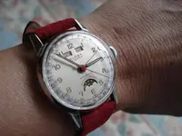 luna wrist.webp luna wrist.webp