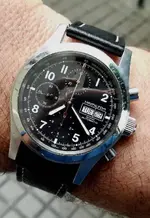 hamilton 29.webp