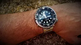 20180529_105803.webp