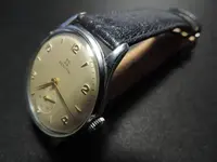 DSCN4784.webp