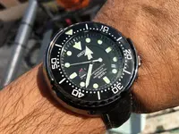 tuna 31.webp