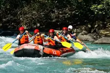 08-23-Green1200-CL-023.webp