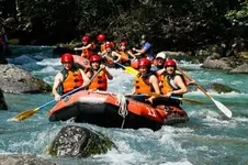 08-23-Green1200-CL-026.webp 08-23-Green1200-CL-026.webp