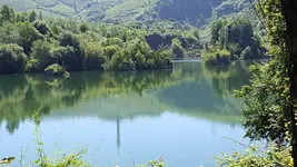 013.webp