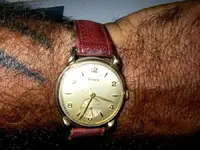 cyma 4 jpg.webp