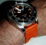 P1010001.webp