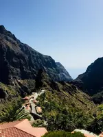 masca1.webp