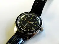 P6136608_filtered.webp