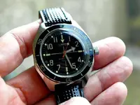 P6136605_filtered.webp