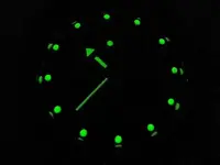DSCN4409.webp
