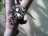 IMG_20130907_110044.webp