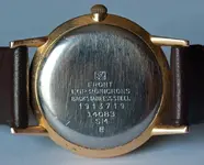 IMGP9555.webp