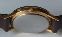 IMGP9556.webp