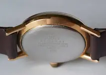 IMGP9557.webp