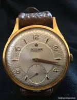 Festina.webp