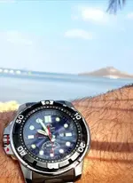 20180725_095622.webp