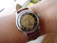 wristshot1.webp