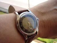 wristshot2.webp