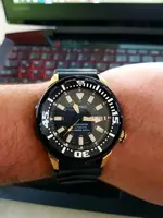 20180726_111841.webp