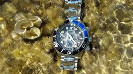 20180821_102346.webp