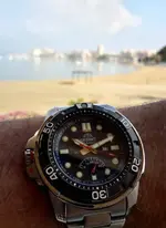 20180727_101003.webp