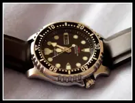 P8065296.webp P8065296.webp