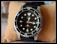 P8065319.webp P8065319.webp