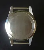 P1100013.webp
