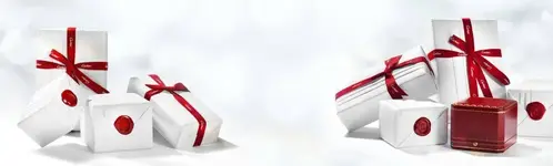 caja.webp