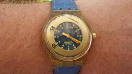 IMGP1367.webp