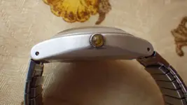 IMGP1380.webp