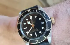 Tudor BB SG.webp