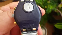 IMGP1392.webp