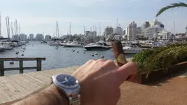 20180818_124219.webp