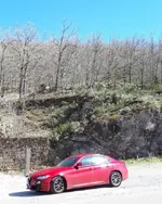 IMG_20180420_100653_979.webp