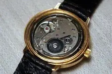 forsam_2.webp
