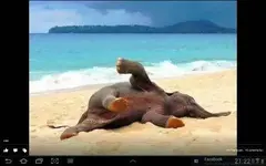 Screenshot_2013-06-09-21-22-20.webp