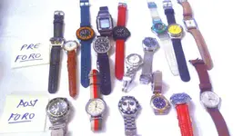 peluc.webp peluc.webp