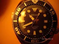 IMGP1631.webp