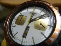 P1110031.webp