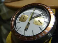 P1110029.webp