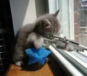 1224954274900_f.webp