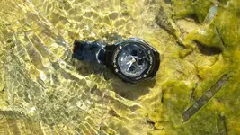 20180819_104812.webp