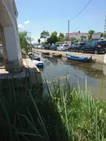 0DCDCC29-2458-4323-806A-519F49ED0879.webp