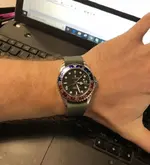 steinhart.webp